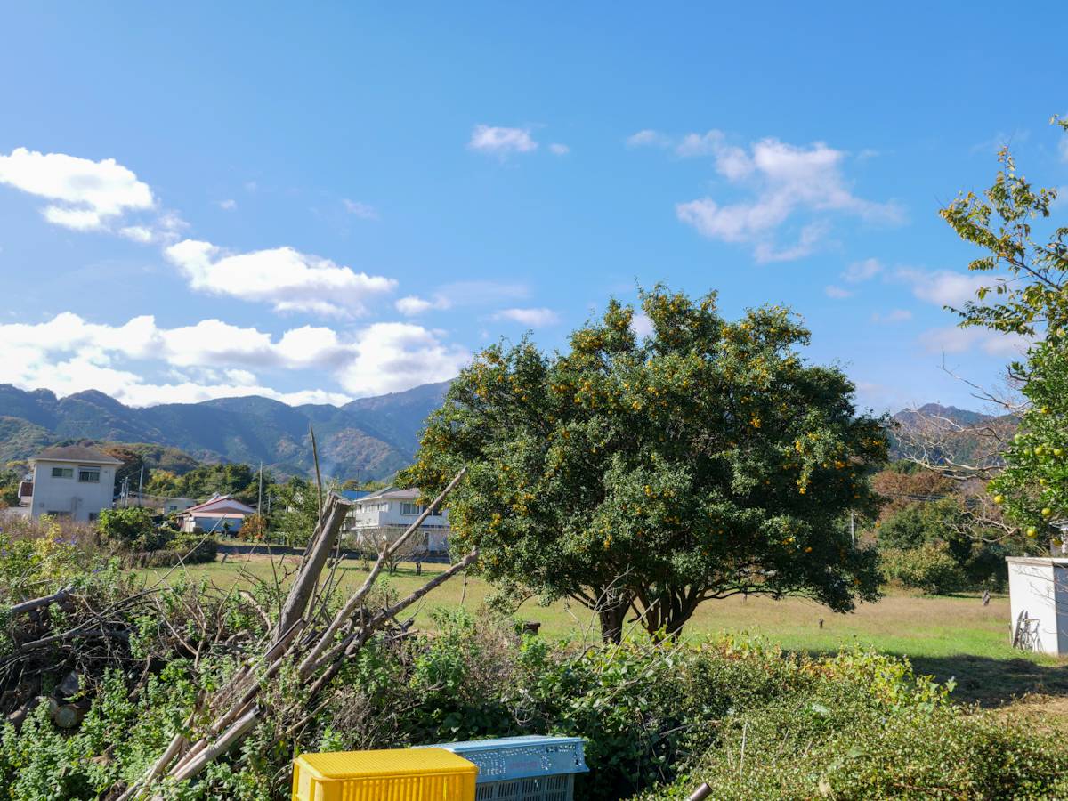 オリーヴの樹駐車場