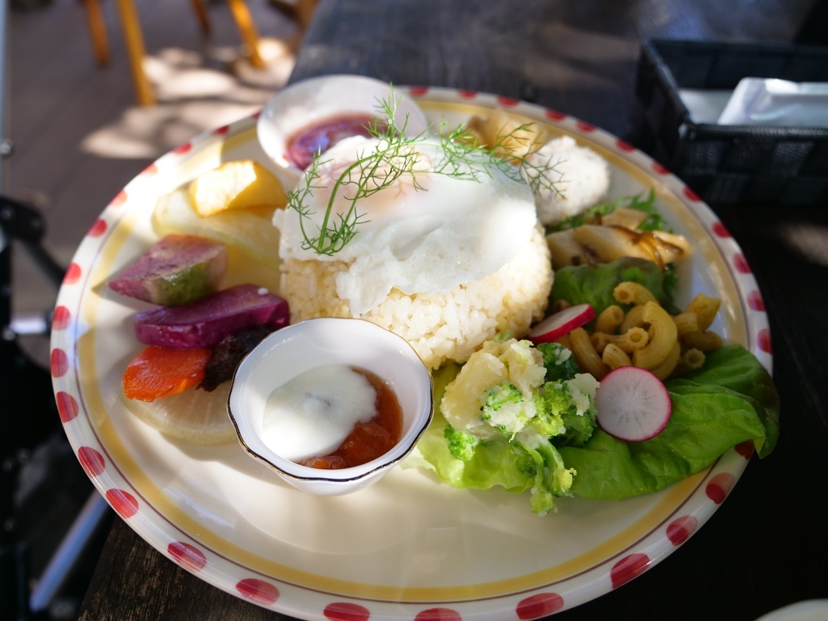 やさい料理の台所 むーみんの森　パキスタンカレー