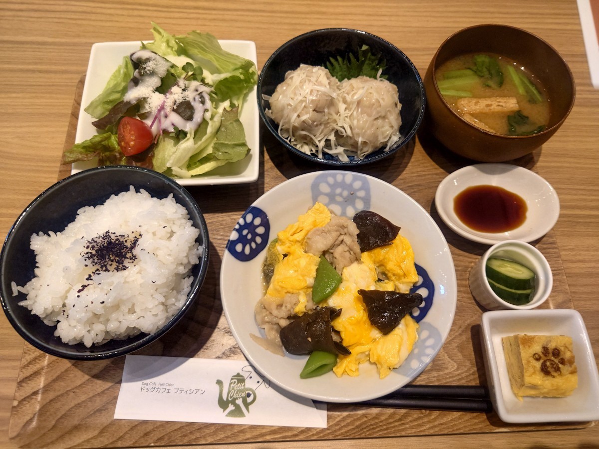 ドッグカフェ・プティシアン　プティシアン御膳