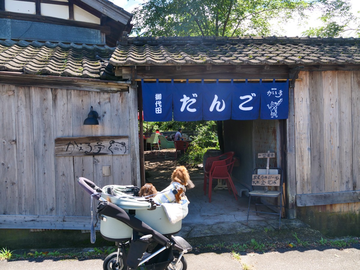 んごカフェかえる亭御代田 外観