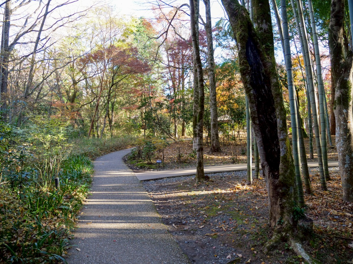 とらや工房 庭園内の散策路