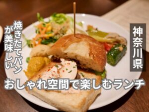 MONDO モンド 相模大野 アイキャッチ画像