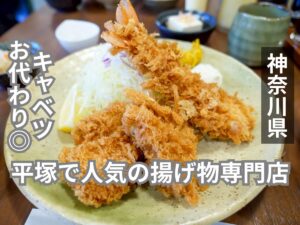 揚げもの屋 せんだい アイキャッチ画像