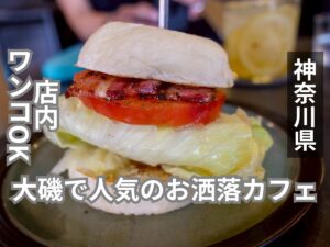 massif cafe アイキャッチ画像