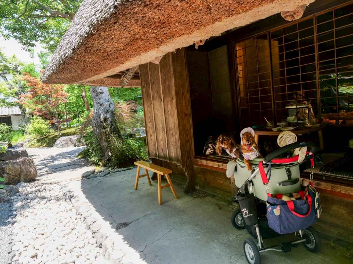 パンとエスプレッソと嵐山庭園 テラス席