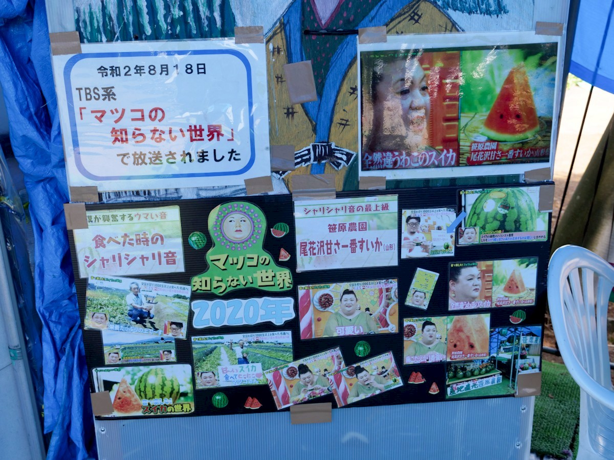 笹原西瓜農園 マツコの知らない世界で放送されたときの様子