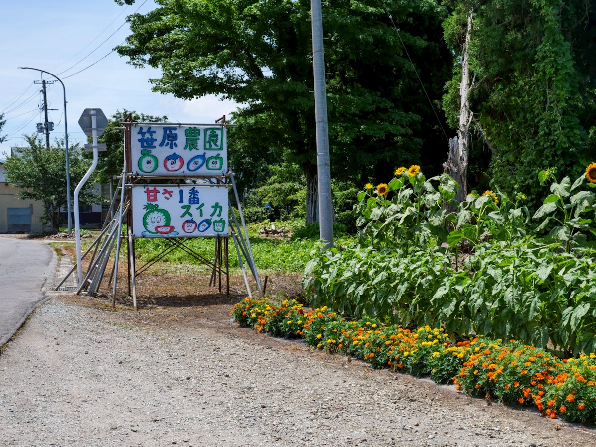 笹原西瓜農園 道路脇の看板