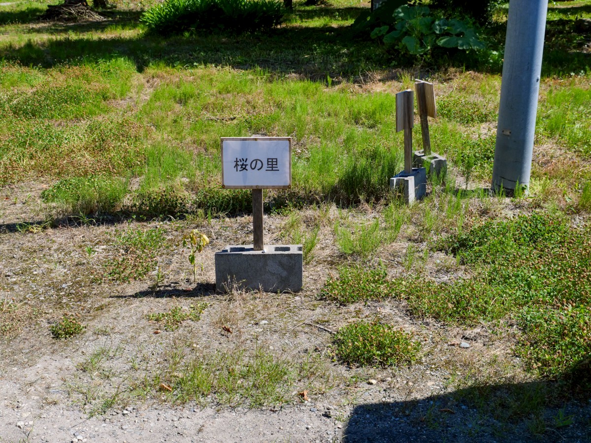 お食事処 桜の里 駐車スペースの案内板