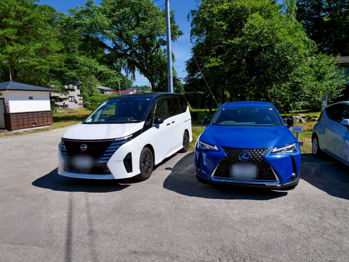 お食事処 桜の里 駐車場の様子
