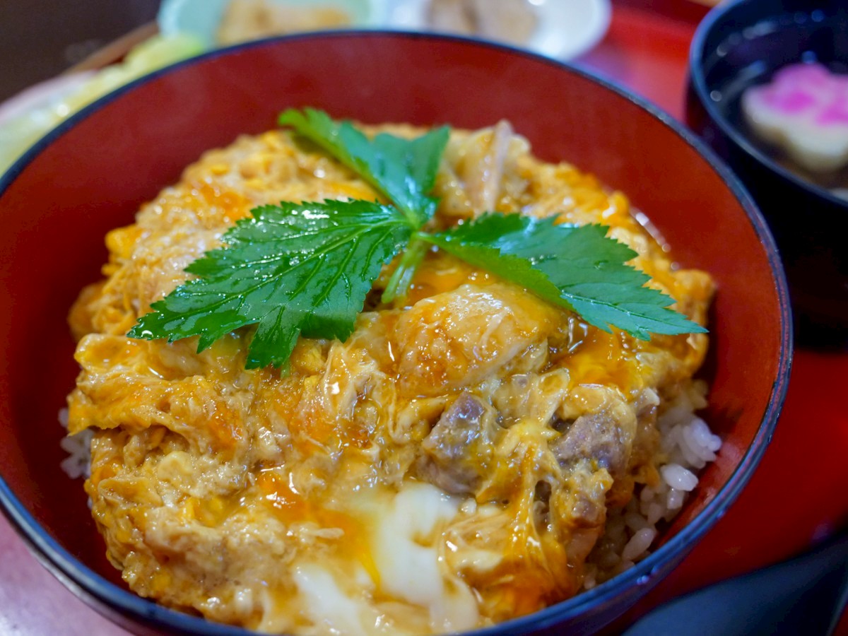 お食事処 桜の里 比内地鶏親子丼