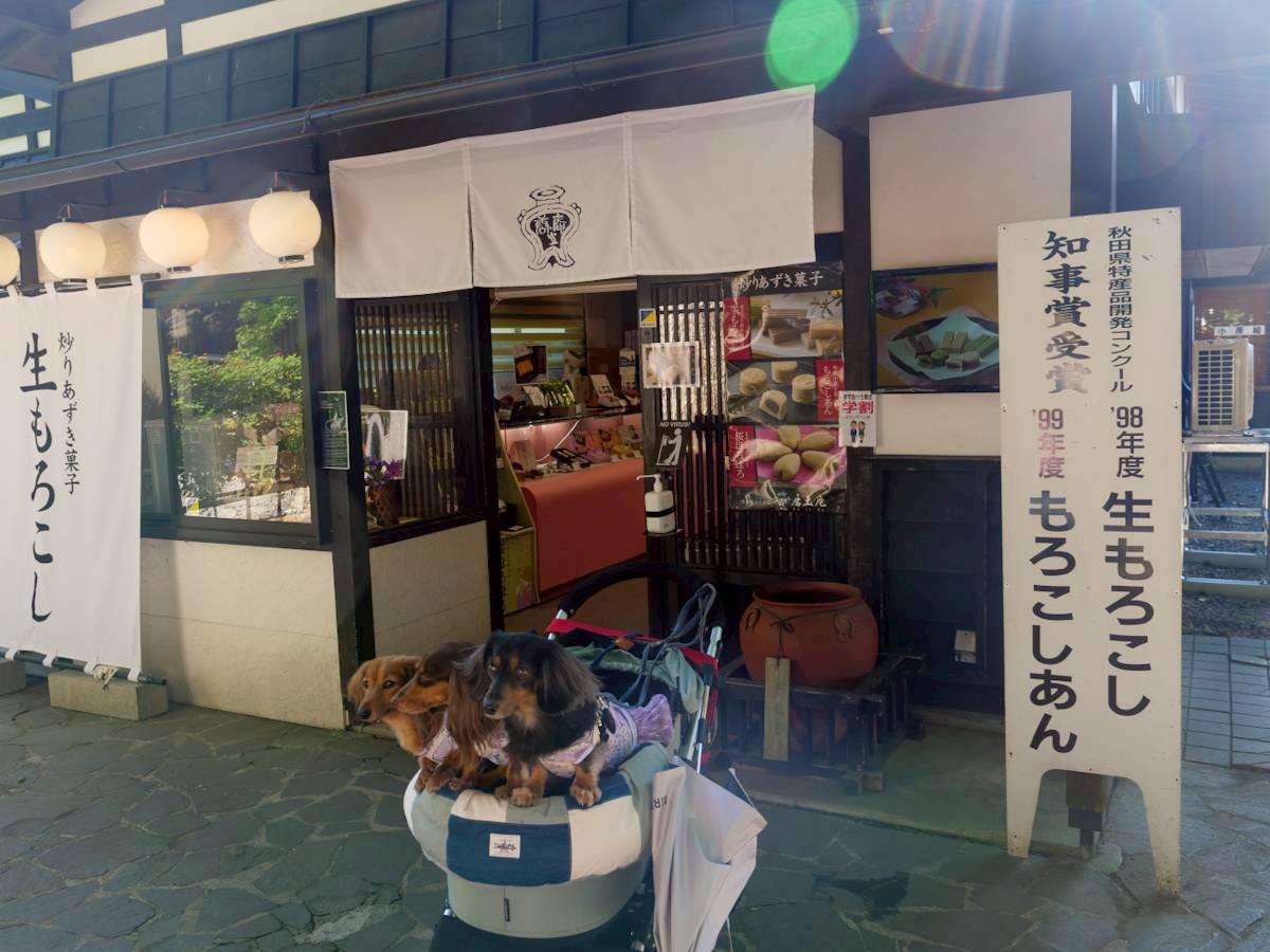 唐土庵 武家屋敷店 外観