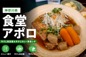 伊勢原市「食堂アポロ」訪問レビュー｜駐車場やメニュー情報も紹介