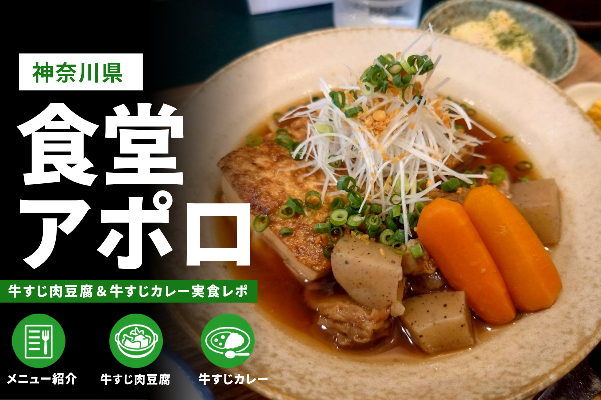 伊勢原市「食堂アポロ」訪問レビュー｜駐車場やメニュー情報も紹介