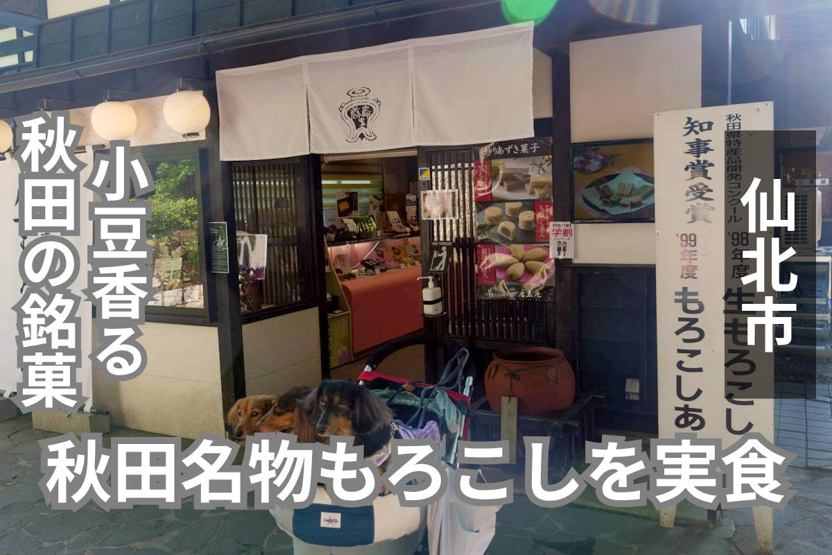 秋田県「唐土庵 武家屋敷店」訪問レビュー｜商品ラインナップや駐車場情報も紹介